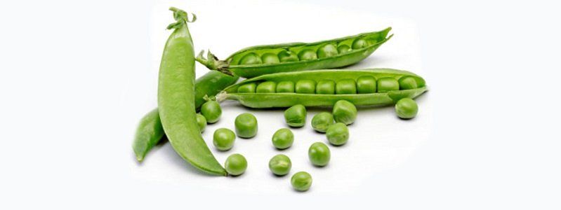 СБУ нашла в Днепре аэродром, незаконно засеянный горохом