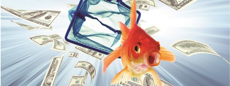 Камеры для Днепра помогут пустить по ветру 22,5 миллионов бюджетных гривен