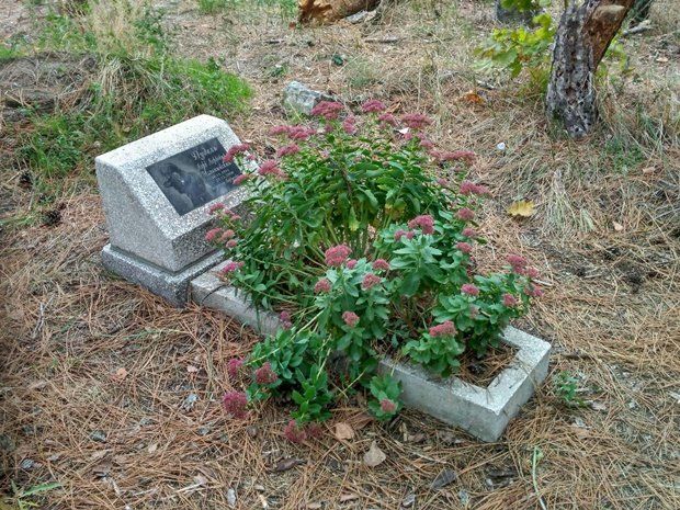 Как, где и за сколько похоронить животное в Днепре 1