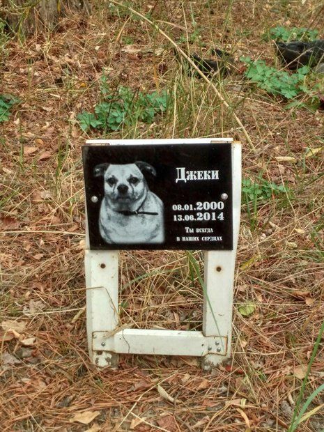 Как, где и за сколько похоронить животное в Днепре 2