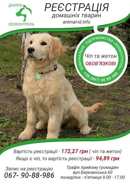 Как, где и за сколько похоронить животное в Днепре 3