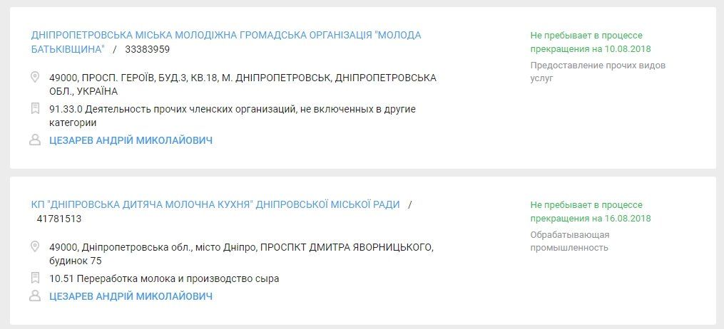 В Днепре появится коммунальная детская молочная кухня с правом торговать мясом и сигаретами 2