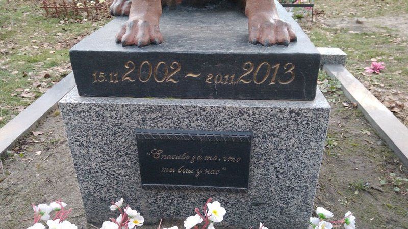 Как, где и за сколько похоронить животное в Киеве 2