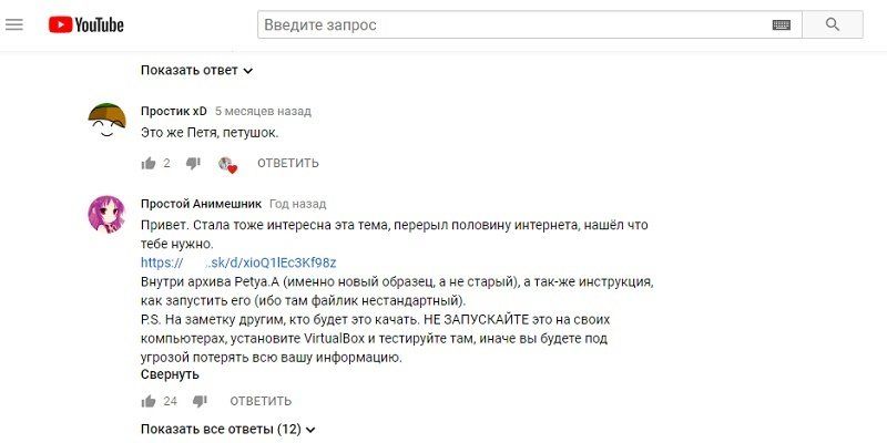 Какое отношение имеет Петр Порошенко к осужденному в Никополе ловцу вирусов 2