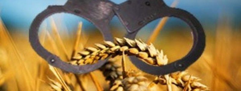 На кого вышло СБУ в деле об арестованной пшенице