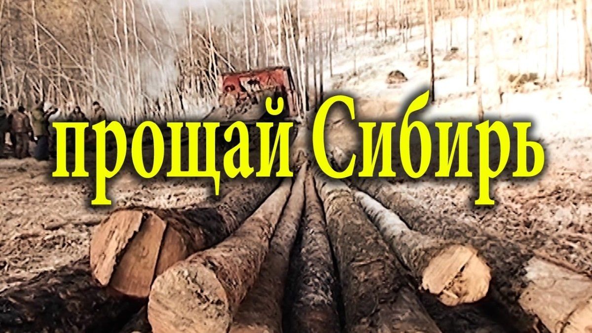 Украино-китайская граница: ждет ли Россию мягкая оккупация 1