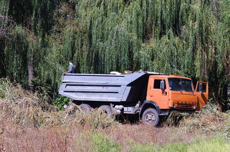 грузят здоровую древесину, а ветки остались в парке