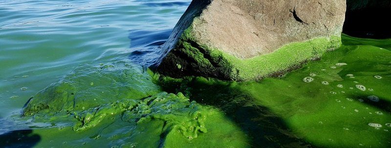 Сделать чище Днепр - что для этого предложили экологи