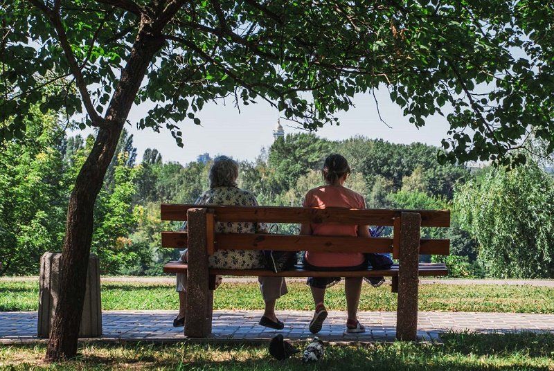 Не весь камыш убрали?