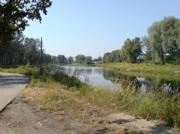 Участок Северо-Дарницкого мелиоканала