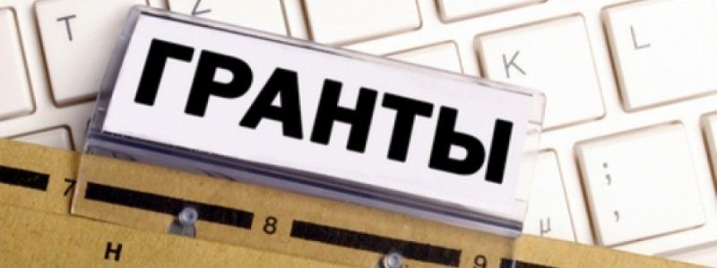 Дайджест грантов от «Деньги Информатор»: Выпуск № 8