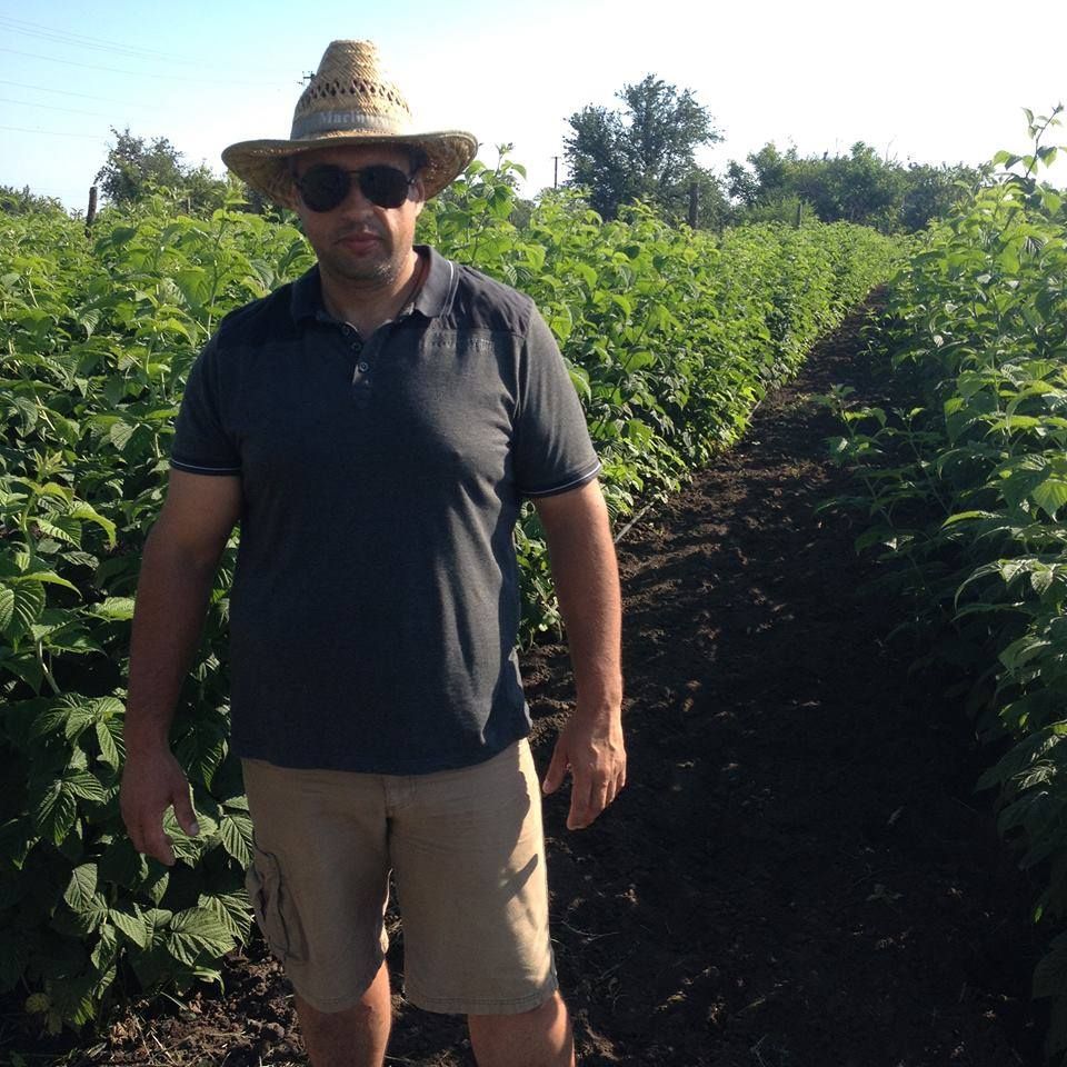 Плантации кооператива