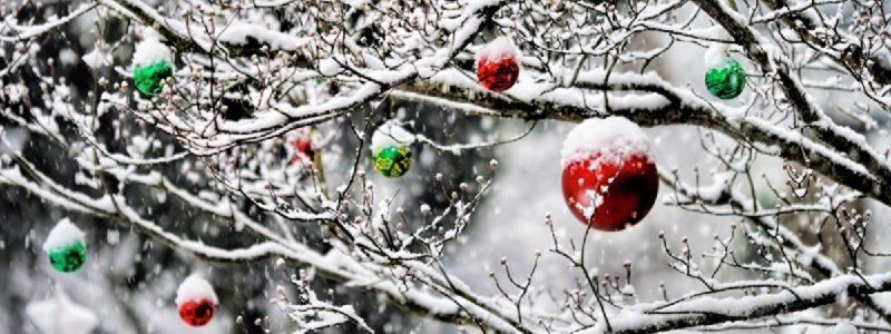 Что организуют в парках Днепра на Новый год