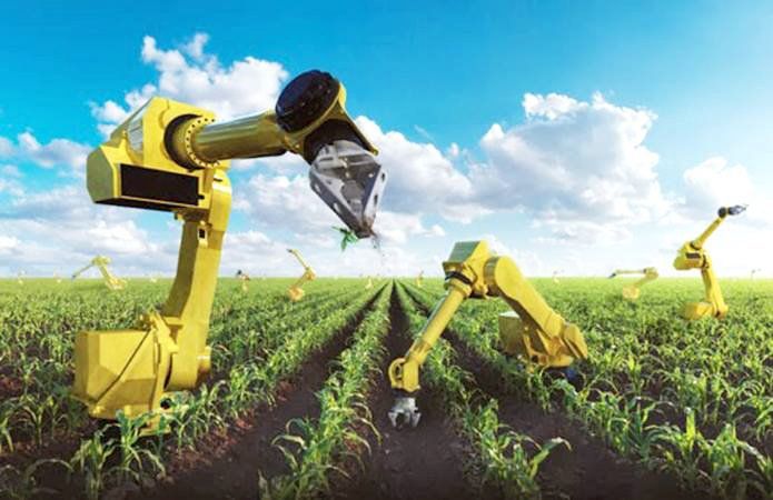 Как получить 24 тысячи долларов на открытие и развитие агробизнеса 2