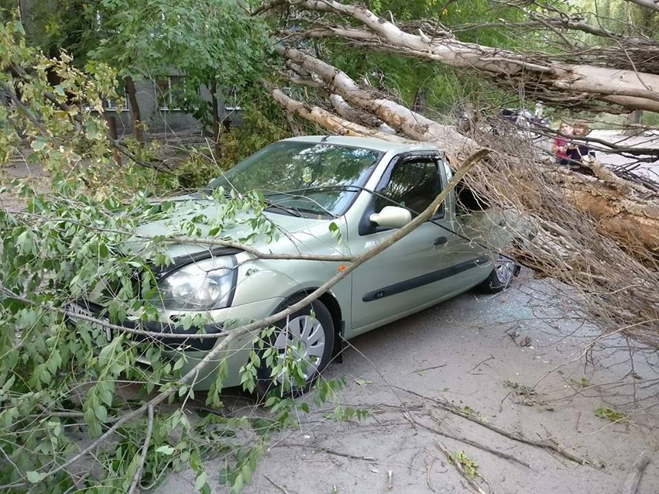 Падение деревьев на авто - обычное дело в Днепре