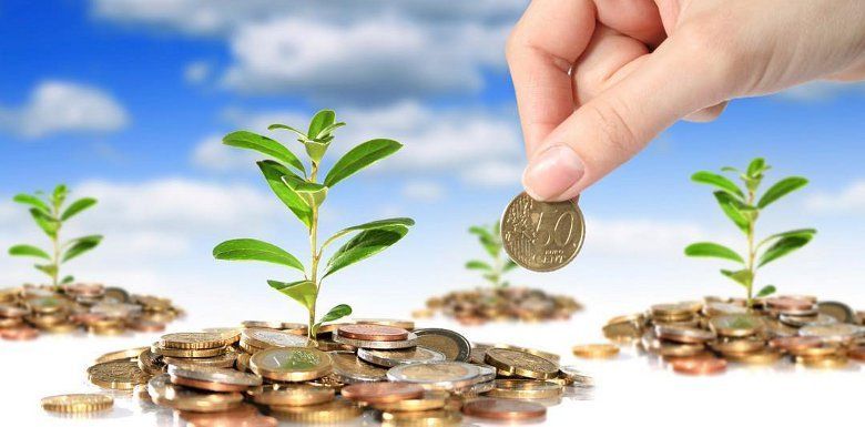 Что экологи нашли в куриных яйцах и куда деваются эконалоги в Украине 2