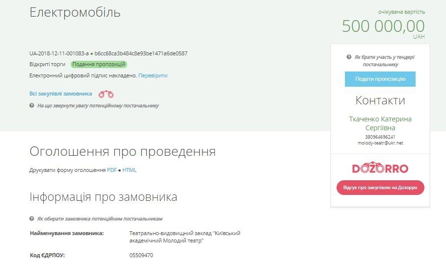 В Киеве театр покупает электромобиль с кожаным салоном за 500 тысяч 1