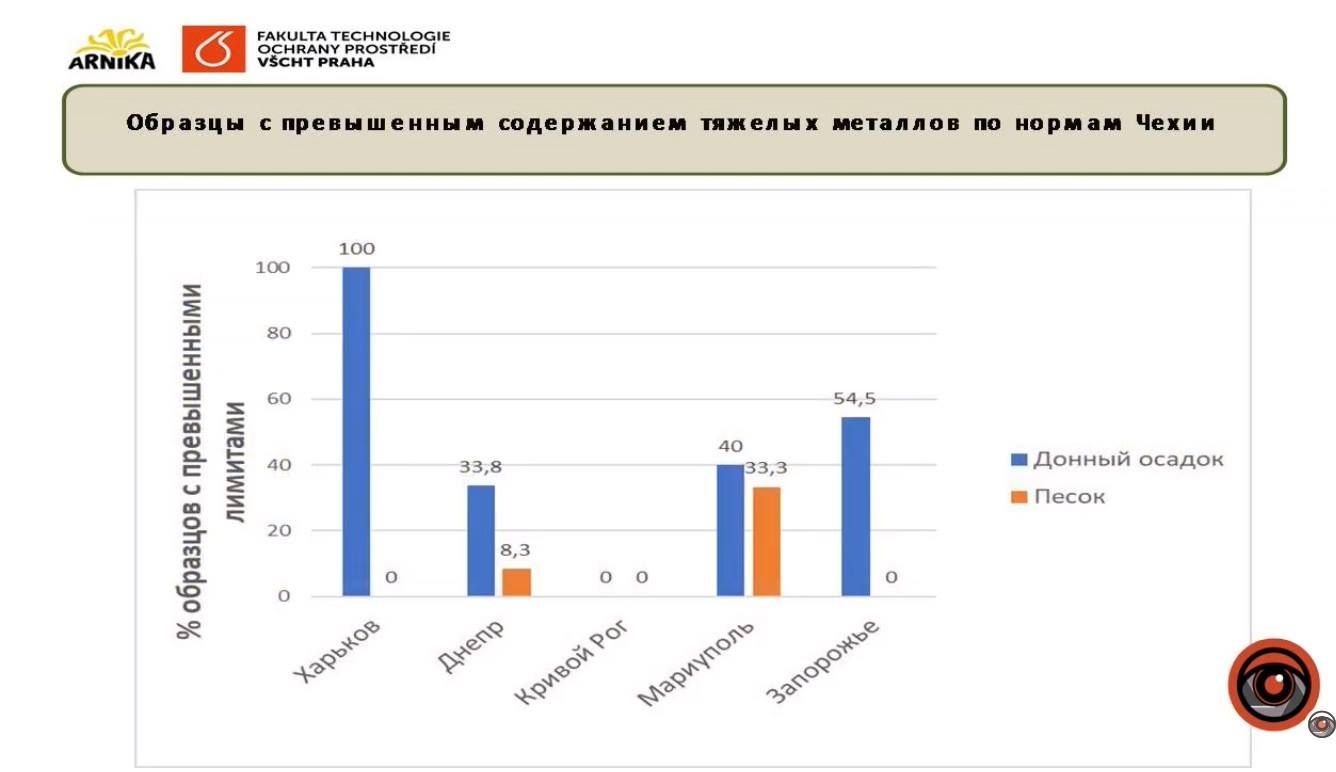 Что экологи нашли в песке на детских площадках в Днепре 3