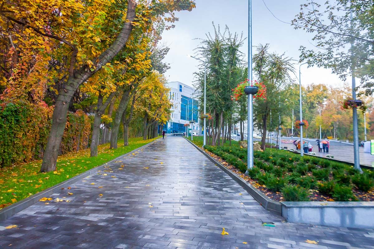 так теперь выглядит парк Зеленый Гай