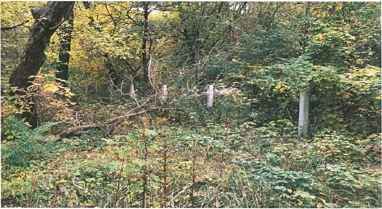 Пионерлагерь видите? - а он есть.