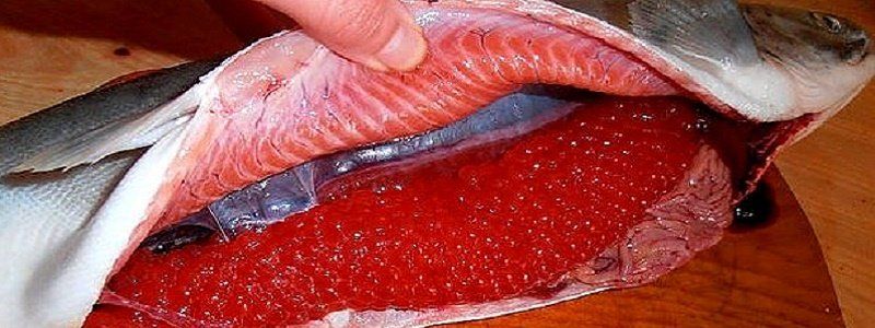 Откуда камчатские икра и крабы на прилавках Днепра