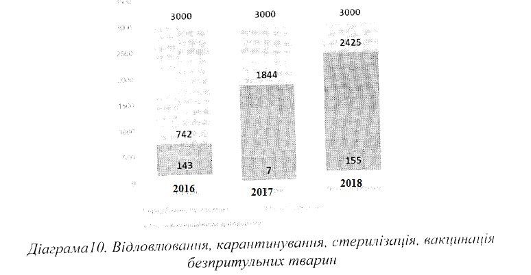 Огромные премии и миллионы упущенной прибыли: что выявил аудит КП Зооконтроль в Днепре 6