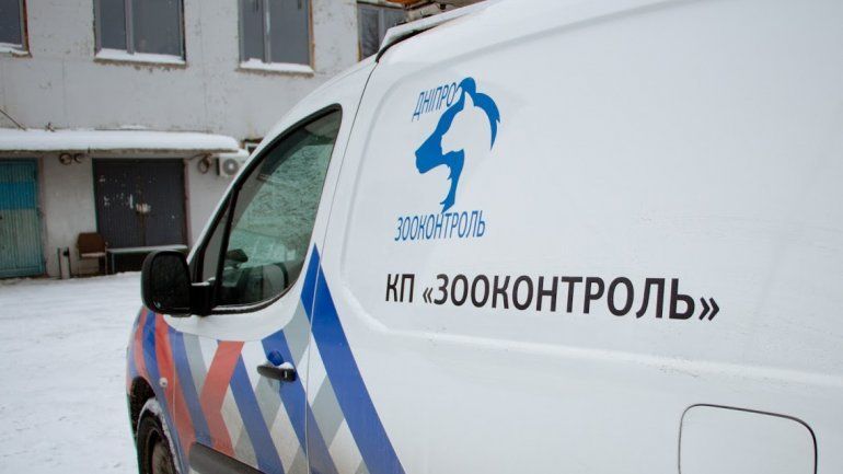 В Днепре появится коммунальная ветеринарная клиника и игротека с котиками 4