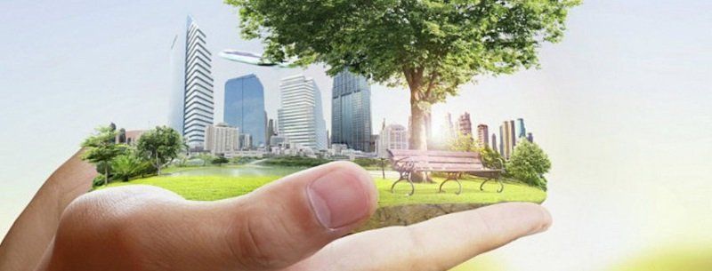 Как получить 20 000 евро на экобизнес в Украине