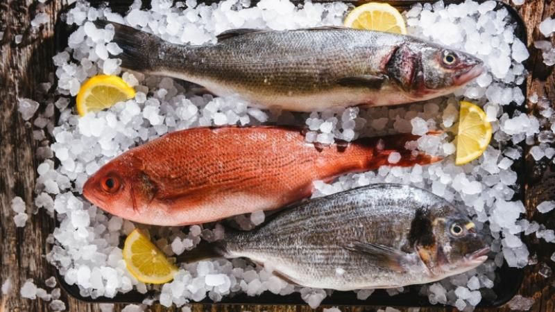 Останется ли в Украине своя рыба 1