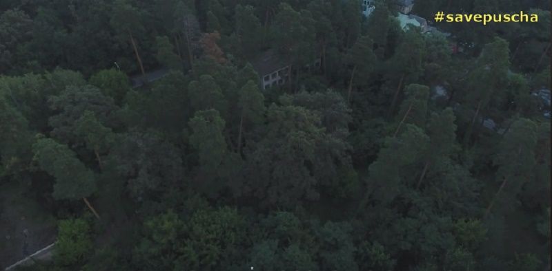 Участок до вырубки