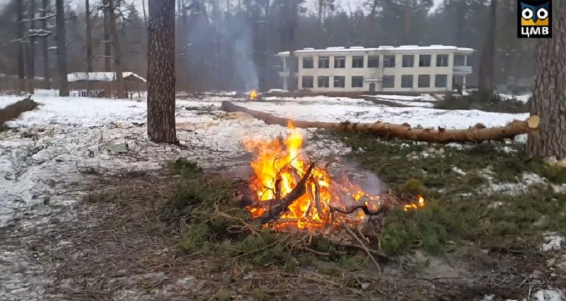 Деревья сжигают здесь же