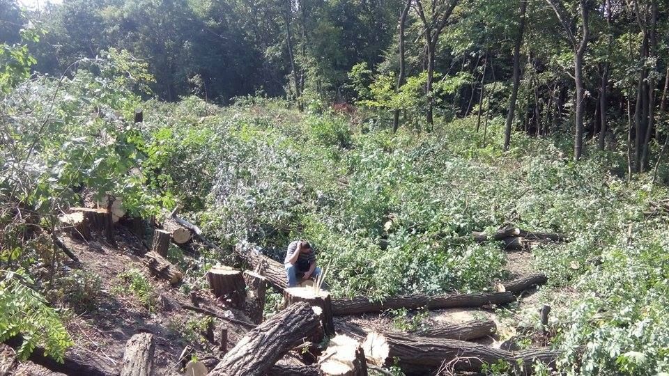 Как жителям Киева вернули «Бычок» 2