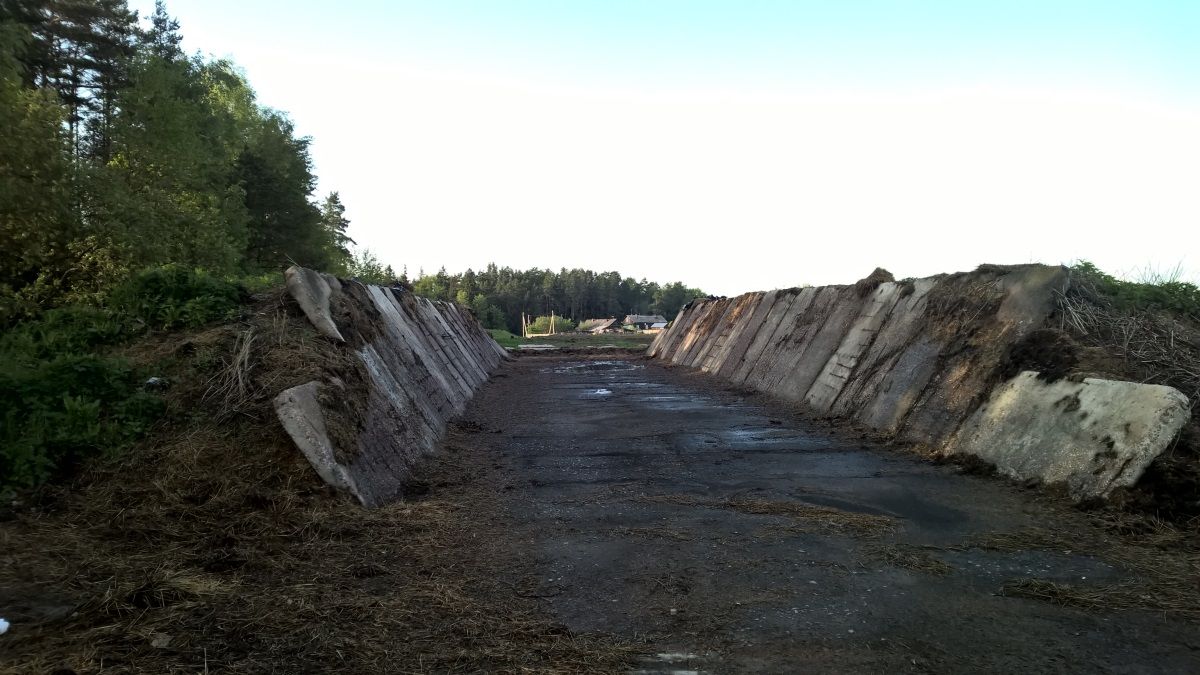 Изобретатель, певица, охотник и банщик: необычные факты о кандидатах в президенты Украины 7