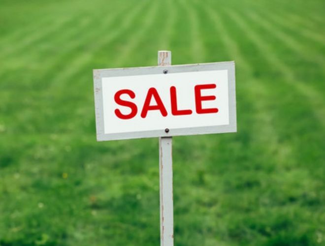 Как связаны земельные аферы и люди с инвалидностью в Украине 4