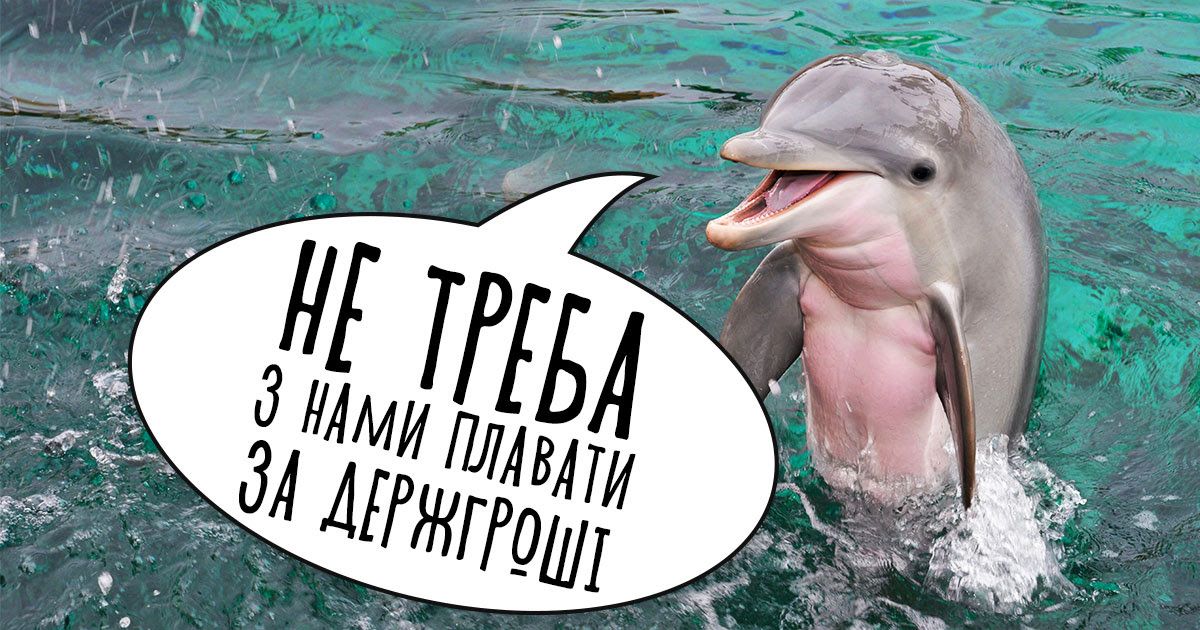 В Киеве из бюджета готовы потратить 12 миллионов на плавание детей с дельфинами 1