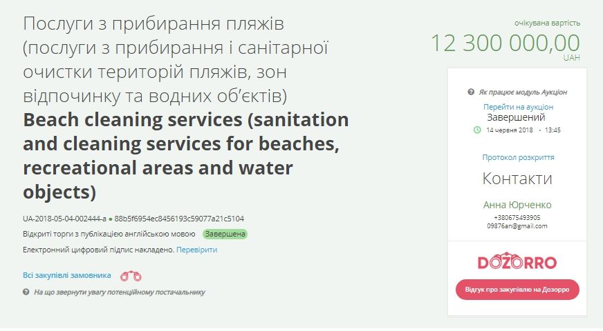 Пляжи Киева уберут за 22,6 миллионов 1