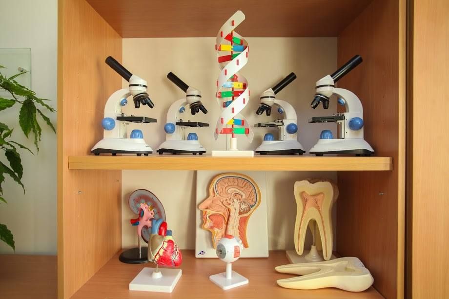 Что такое проект «Школа 3.0» и как его запускают в заведениях Днепропетровской области 3