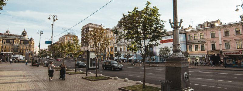 В Киеве высадят сакуру и каштаны Бриоти за 24,7 миллионов