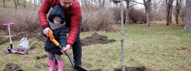 Где в Киеве появятся деревья, цветы и газоны за 16,5 миллионов