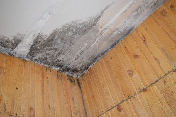 Адские условия: правозащитники показали, как содержат людей в колонии в Днепропетровской области 7