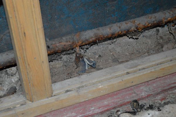 Адские условия: правозащитники показали, как содержат людей в колонии в Днепропетровской области 12