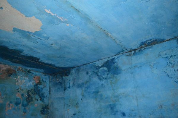 Адские условия: правозащитники показали, как содержат людей в колонии в Днепропетровской области 22