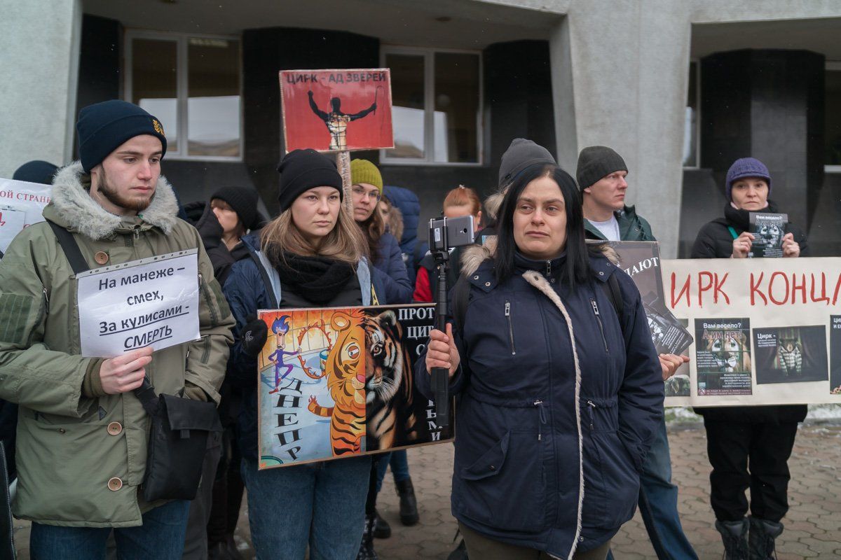 В Киеве не будет шапито с животными 3