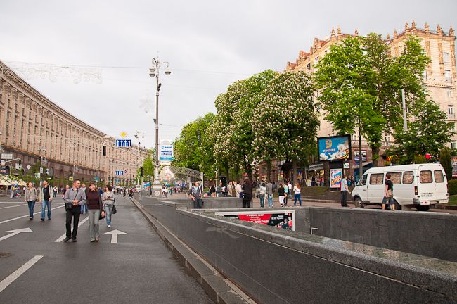 Платаны или каштаны: что должно расти на Крещатике в Киеве 2