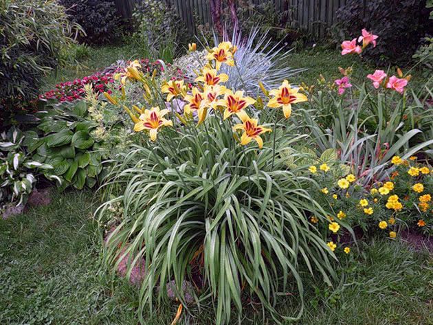 Какие парки Киева отремонтируют за 5,5 миллиона 1