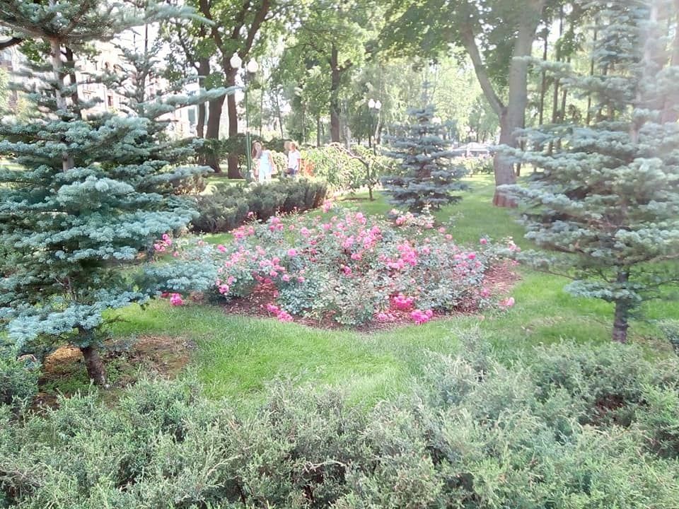 В Киеве построят новый парк за 82 миллиона 3