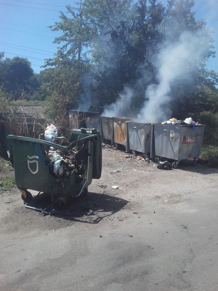 Заммэра Днепра Михаил Лысенко о китайском опыте, новых деревьях, мусорных проблемах и ремонте Нового моста 3