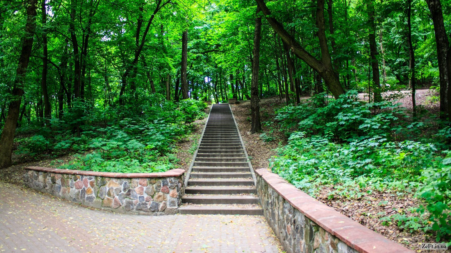 парк Березовый Гай