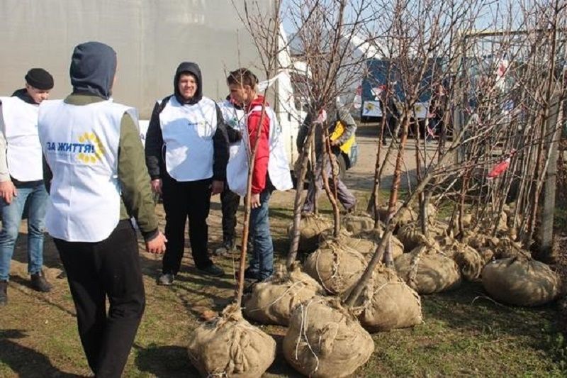 В Днепре высадили уже тысячу деревьев, на очереди - Кленовый сад 3