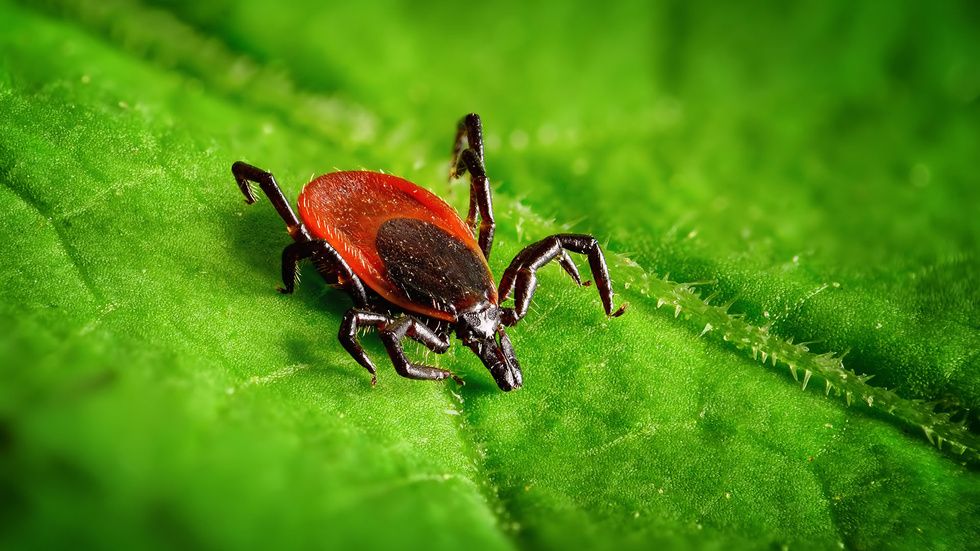 В Днепре врач рассказал, как не заболеть меланомой, грибковыми заболеваниями и безопасно ли купаться в реке 5